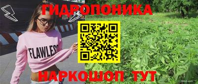 эйфоретик Мариинск