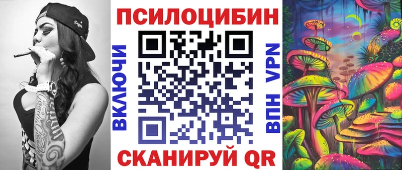 Псилоцибиновые грибы прущие грибы  гидра сайт  Каменка  купить наркотики сайты 