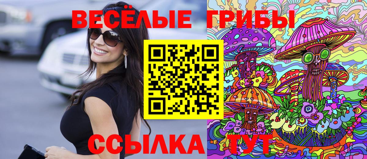 Псилоцибиновые грибы ЛСД  Псилоцибиновые грибы Psilocybe  Вход с VPN  Каменка 