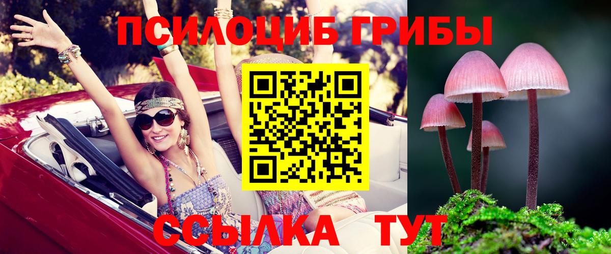 Псилоцибиновые грибы Magic Shrooms Каменка